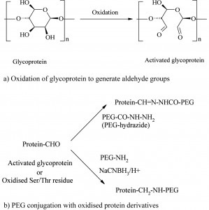 Figure 5 Figure 5
