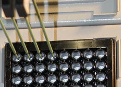 Reinnervate’s Alvetex® Scaffold for 3D cell culture on Freedom EVO® liquid handling workstation