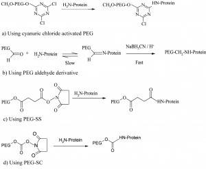 Figure 1 for Proteomics Figure 1 PEGylation process using amine conjugation chemistries